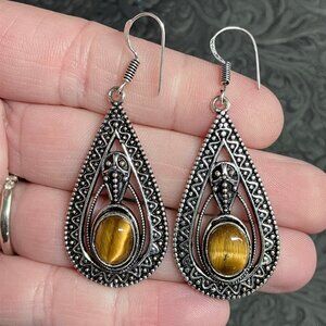 Tigers Eye Trilobyte Crystal Stone Jewelry Earrings